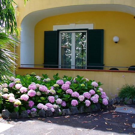 Hotel La Marticana Ischia Zewnętrze zdjęcie