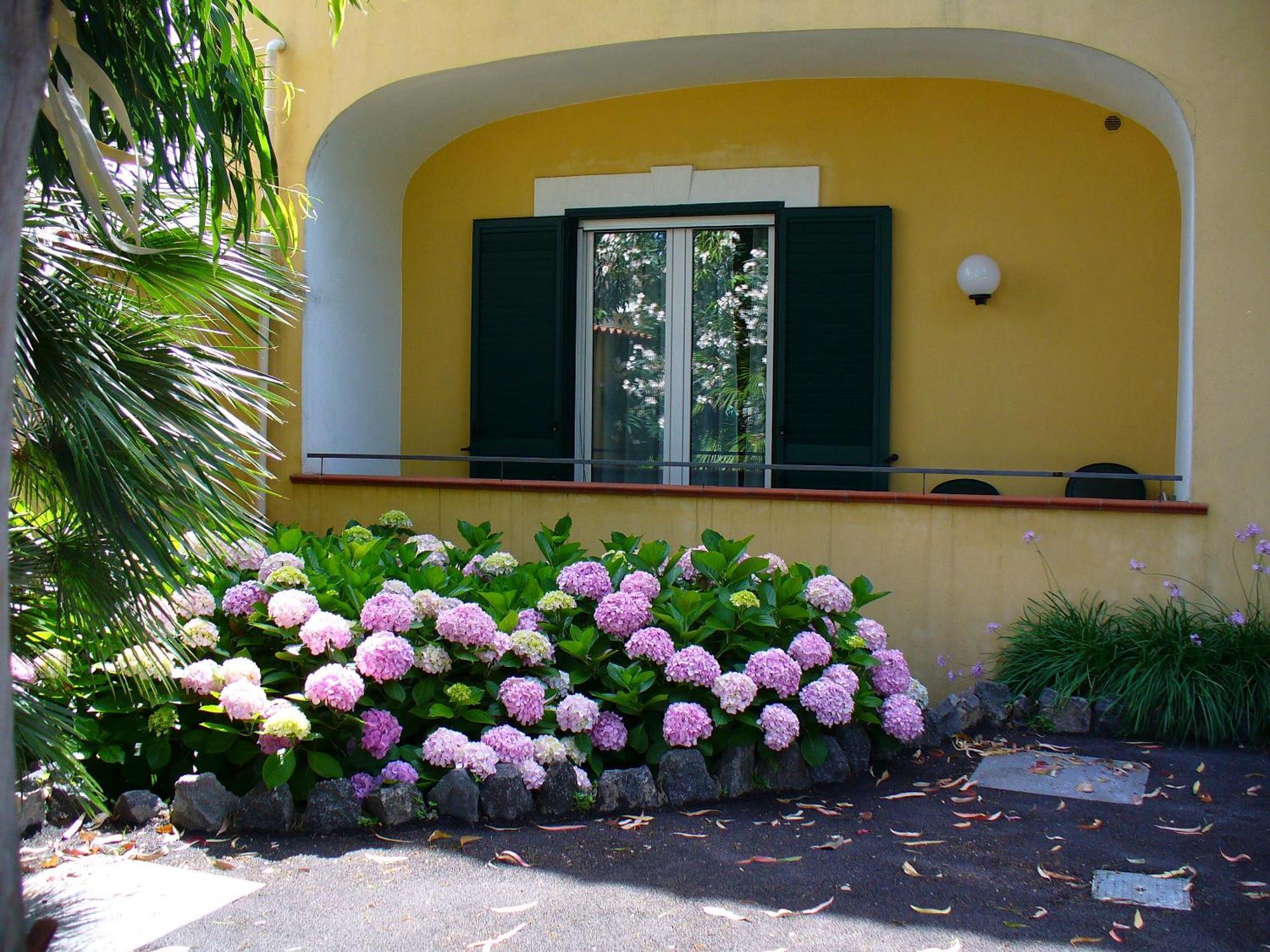 Hotel La Marticana Ischia Zewnętrze zdjęcie