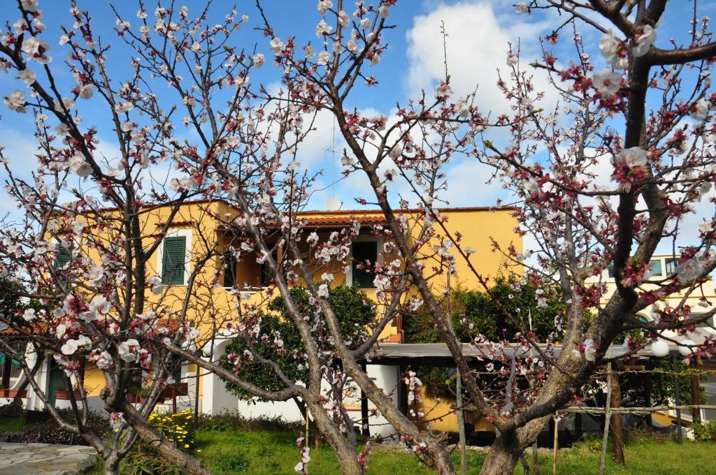 Hotel La Marticana Ischia Zewnętrze zdjęcie