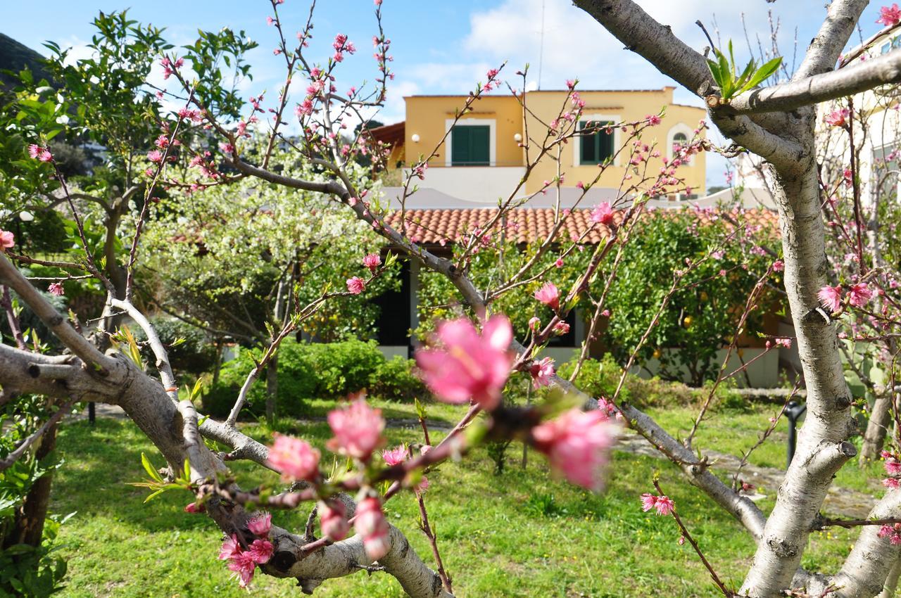 Hotel La Marticana Ischia Zewnętrze zdjęcie